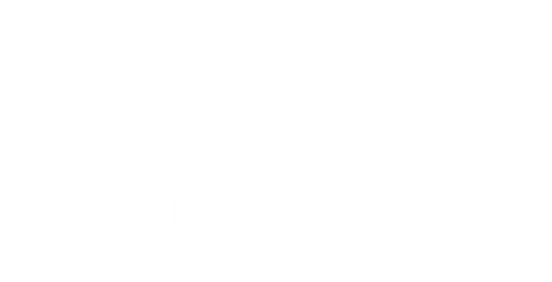 FAJAS PIEL DE ANGEL MEXICO